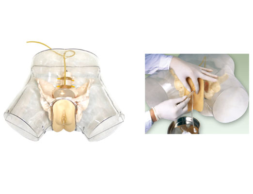 心肺復(fù)蘇模擬人