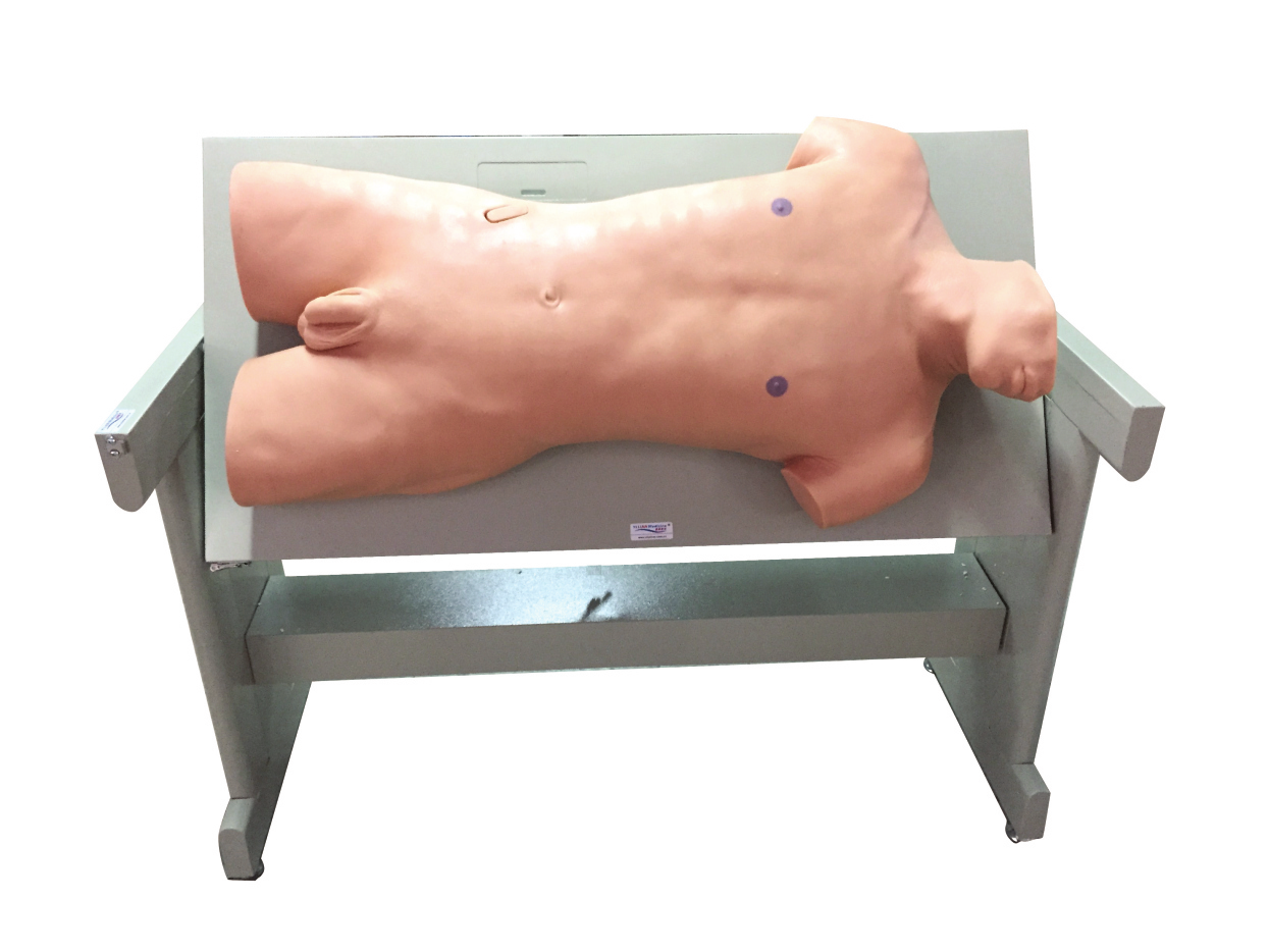 Cϴg(sh)cߵ\z鼼Ӗ(xn)(sh)(yn)